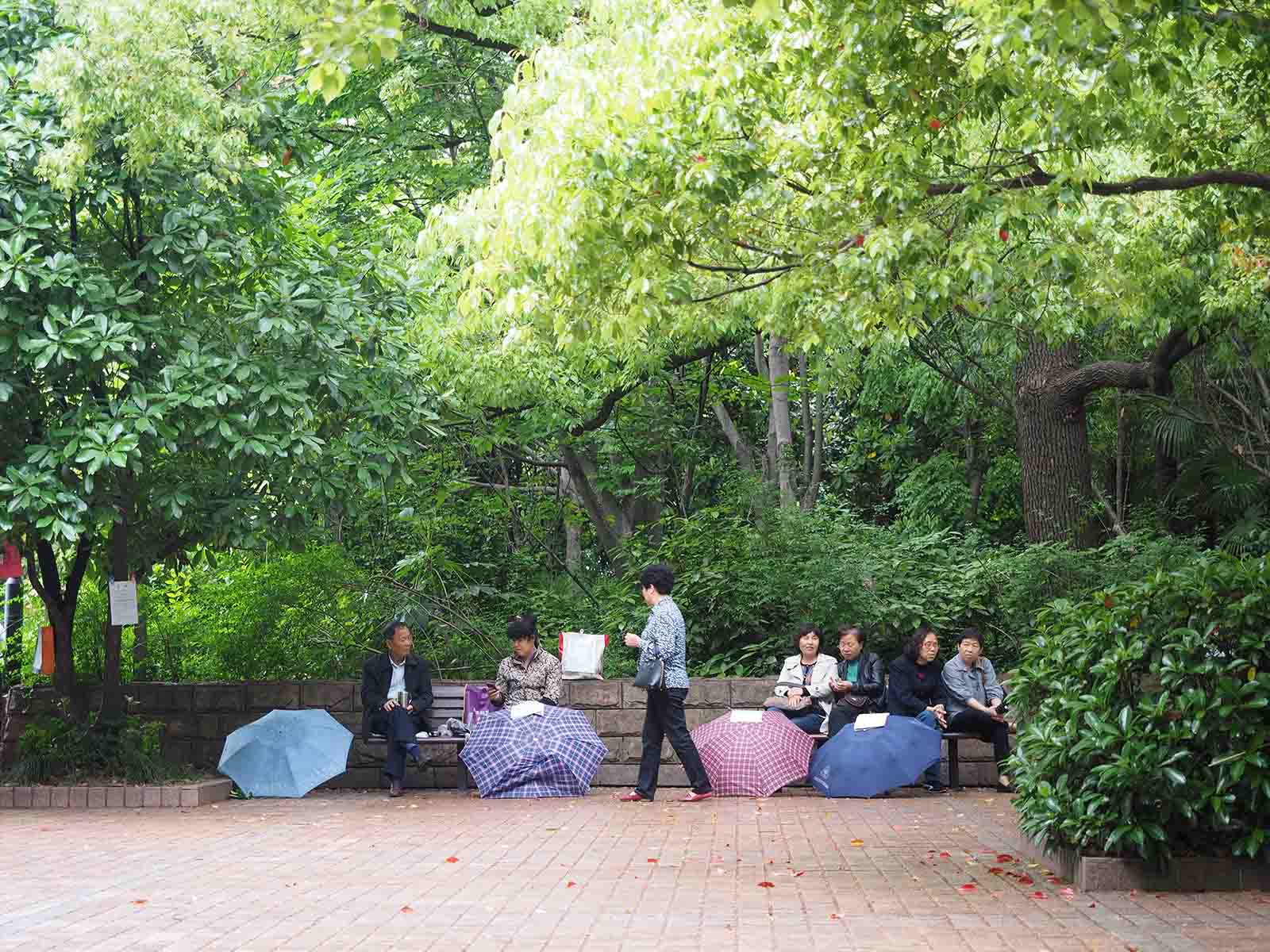 Parents at the weekend ‘marriage market’ in Shanghai People’s Park | Local's guide to the real Shanghai Parents at the weekend ‘marriage market’ in Shanghai People’s Park | Local's guide to the real Shanghai