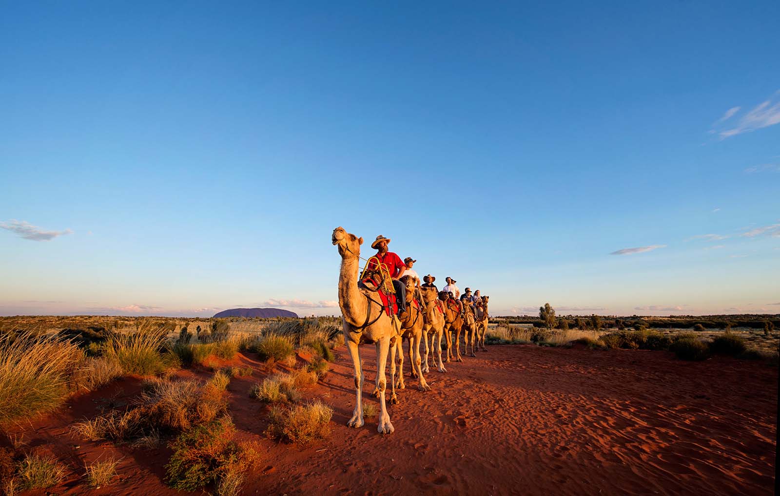 Camel touring at Uluru | 10 ways to see Uluru Camel touring at Uluru | 10 ways to see Uluru
