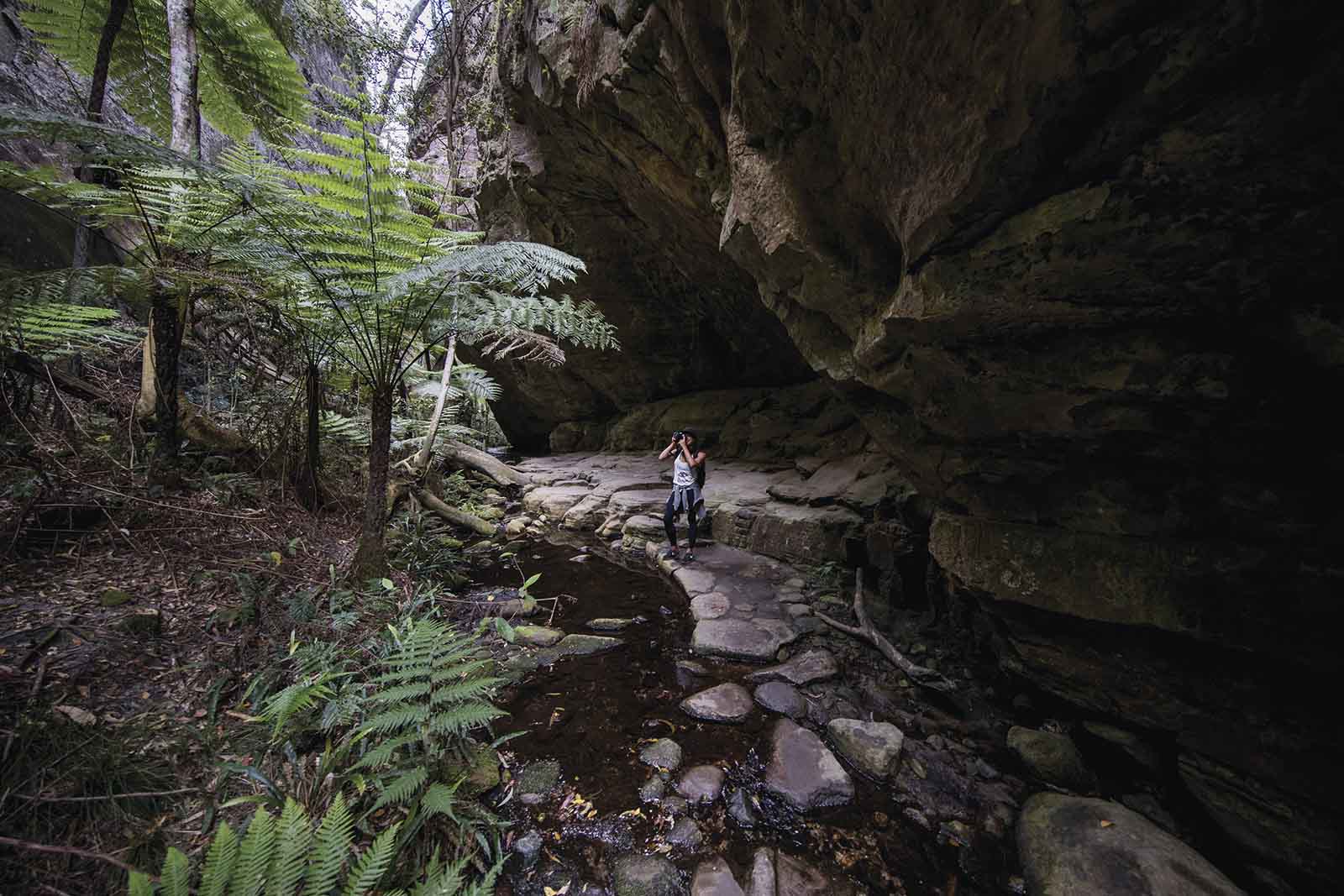 Exploring Carnarvon Gorge | Four of the best day trips from Roma Exploring Carnarvon Gorge | Four of the best day trips from Roma