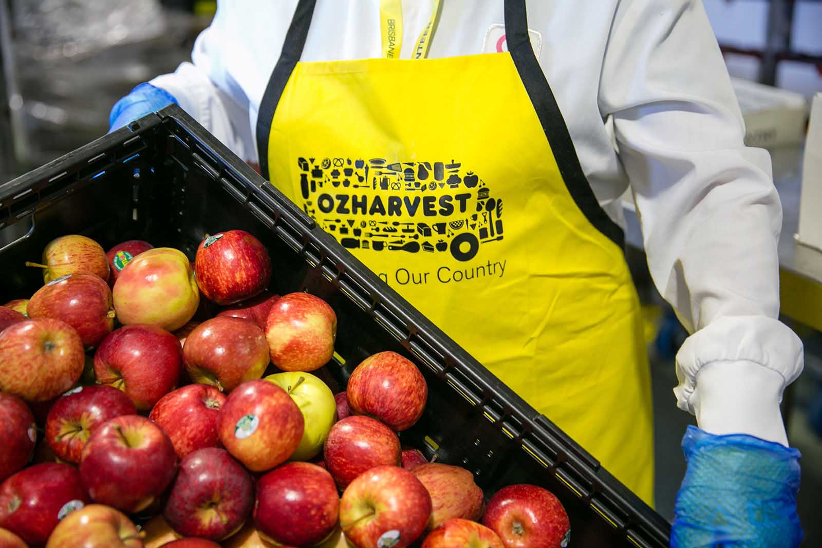 Excess food is collected by Airport Ambassadors volunteers for redistribution by OzHarvest Excess food is collected by Airport Ambassadors volunteers for redistribution by OzHarvest