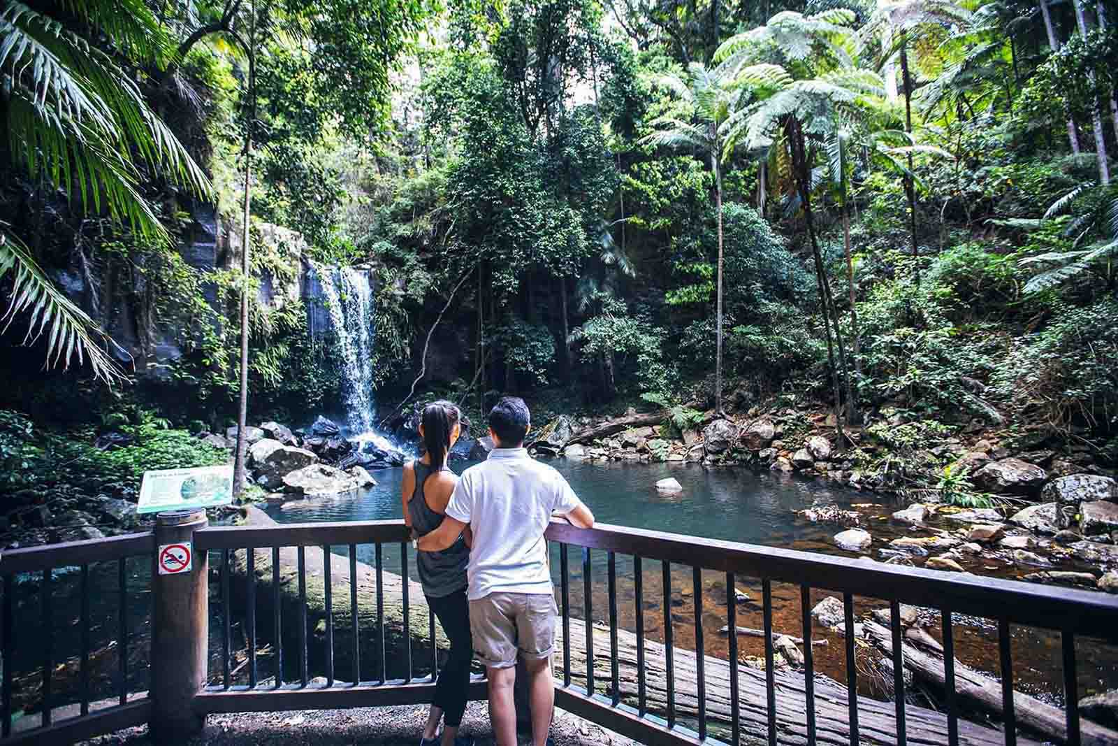 Curtis Falls Tamborine Mountain | Have wheels will travel: the best scenic drives from Brisbane Airport in a rental car Curtis Falls Tamborine Mountain | Have wheels will travel: the best scenic drives from Brisbane Airport in a rental car