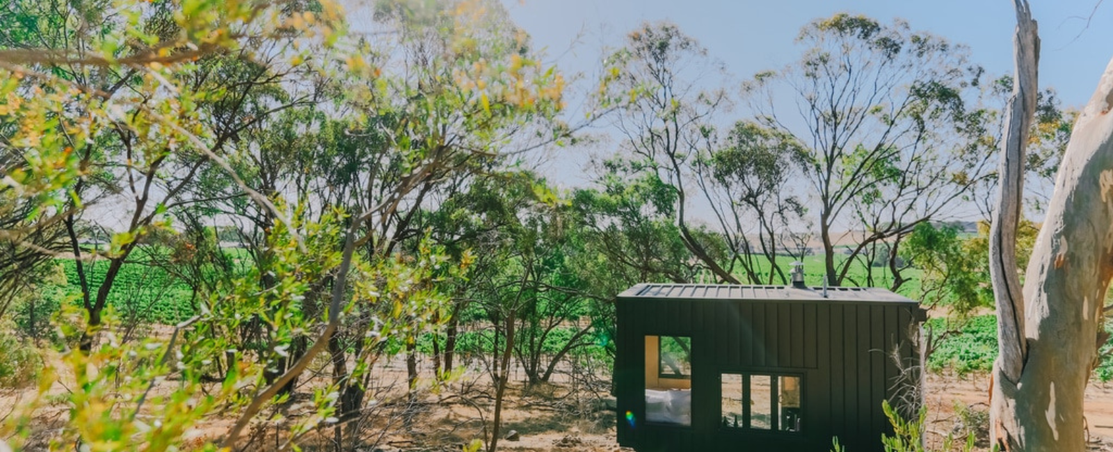 CABN tiny house surrounded by trees CABN tiny house surrounded by trees