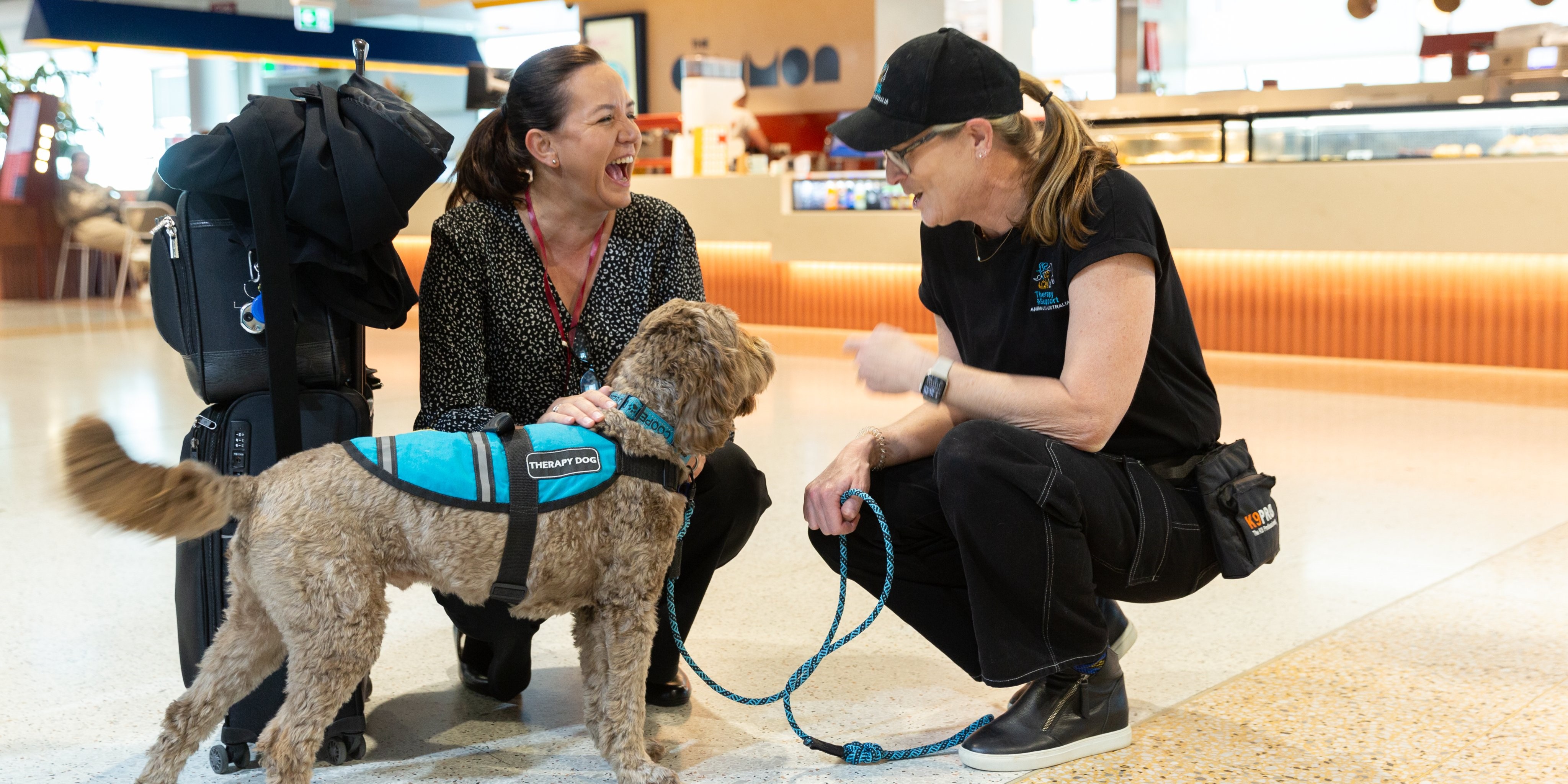 A therapy dog and their handler interreacting with a traveller who is laughing A therapy dog and their handler interreacting with a traveller who is laughing