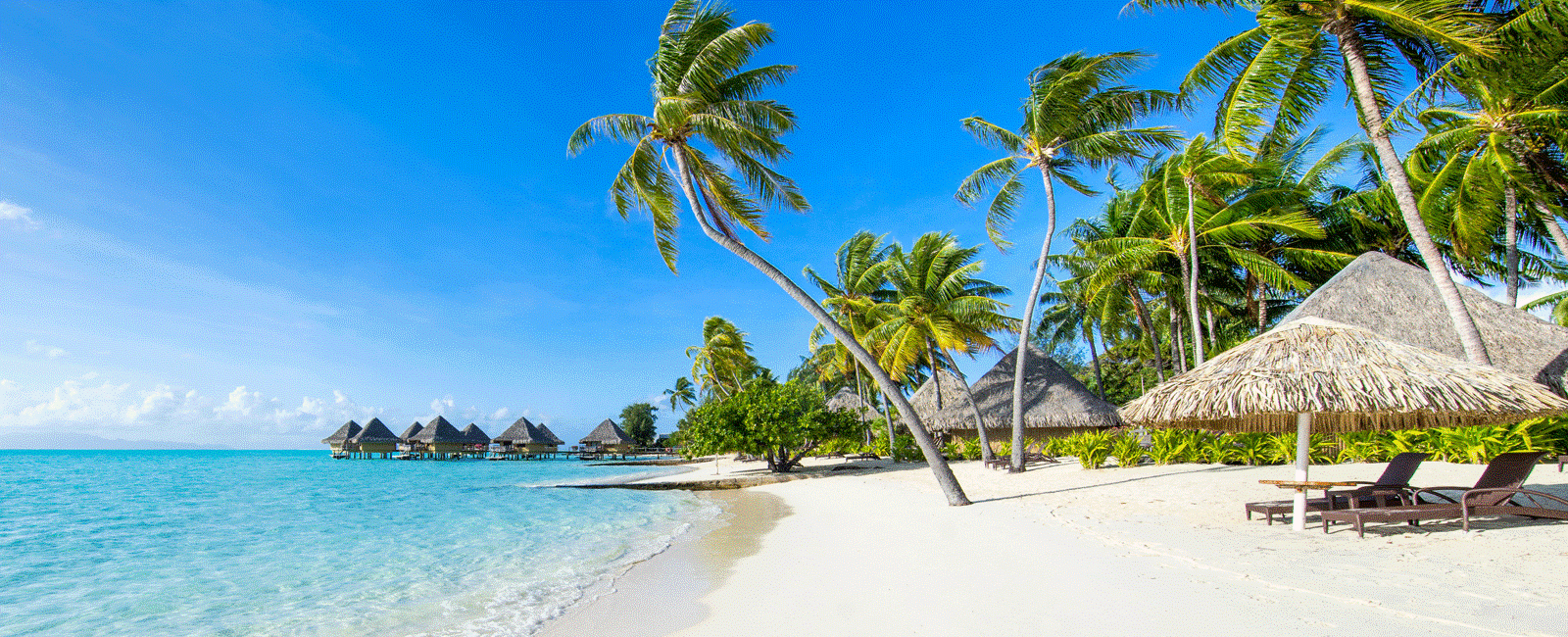 A calm beach with white sand and blue water A calm beach with white sand and blue water