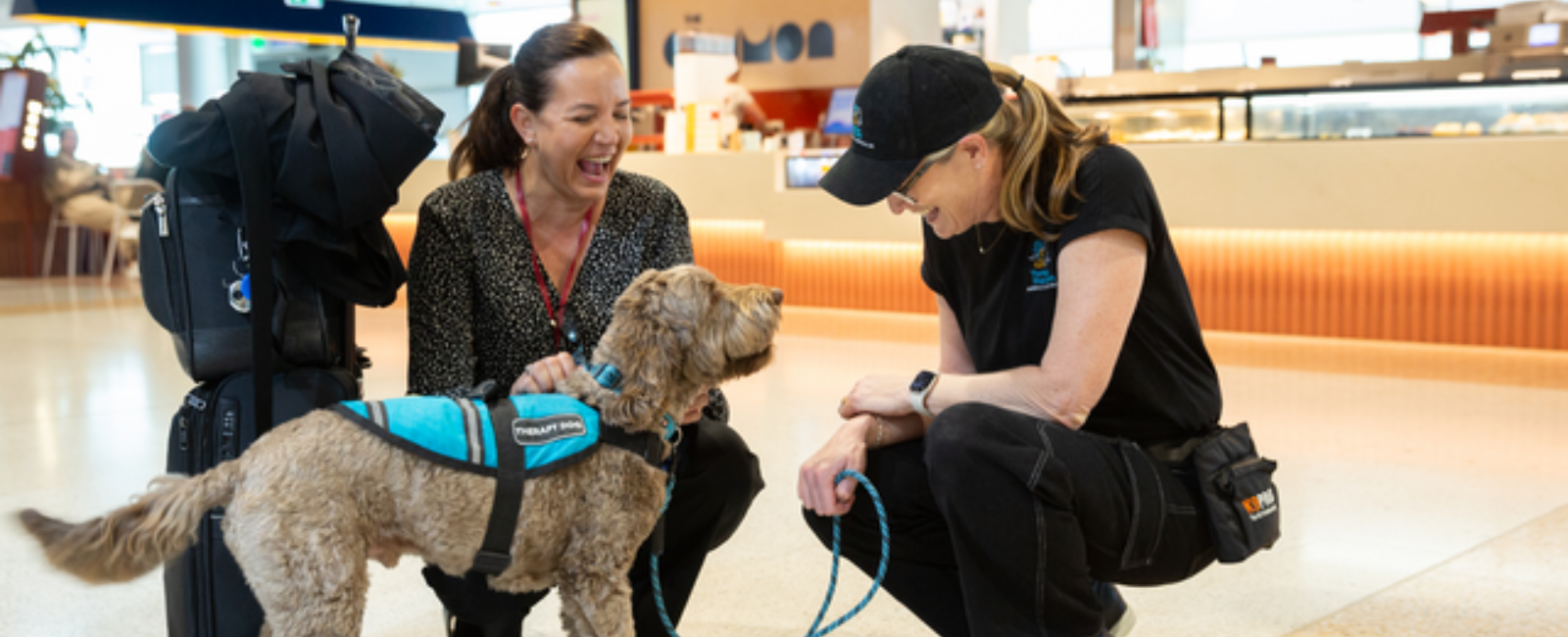 Therapy dog with handlers at Brisbane Airport Therapy dog with handlers at Brisbane Airport