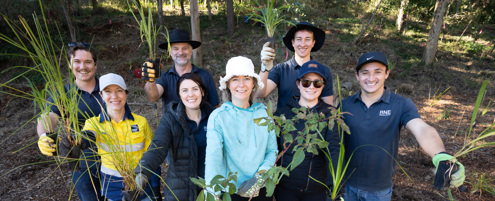 Bulimba Creek Catchment revegetation project Bulimba Creek Catchment revegetation project